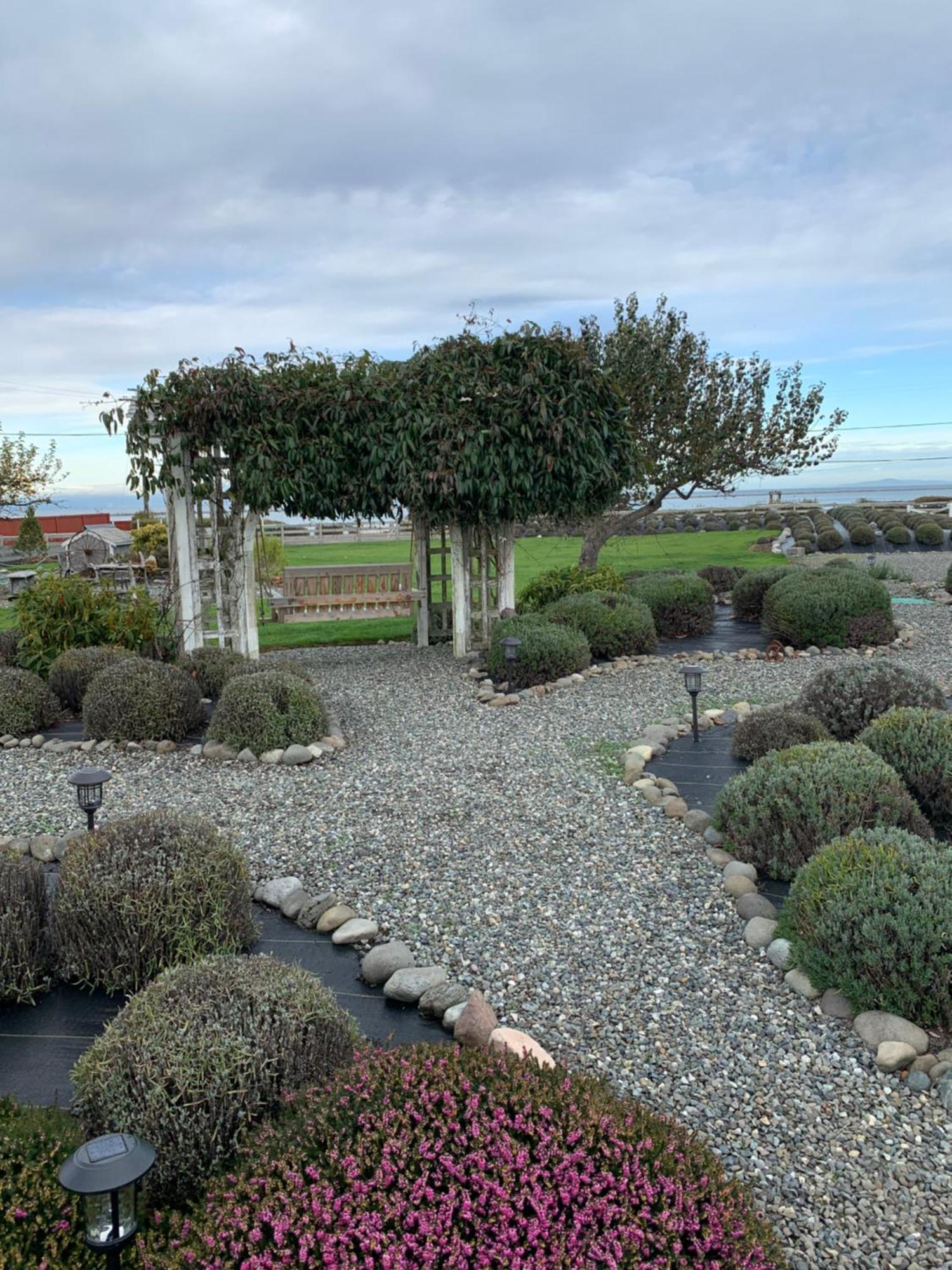 Dungeness Barn House Bed And Breakfast At Two Crows Farm Sequim Dış mekan fotoğraf