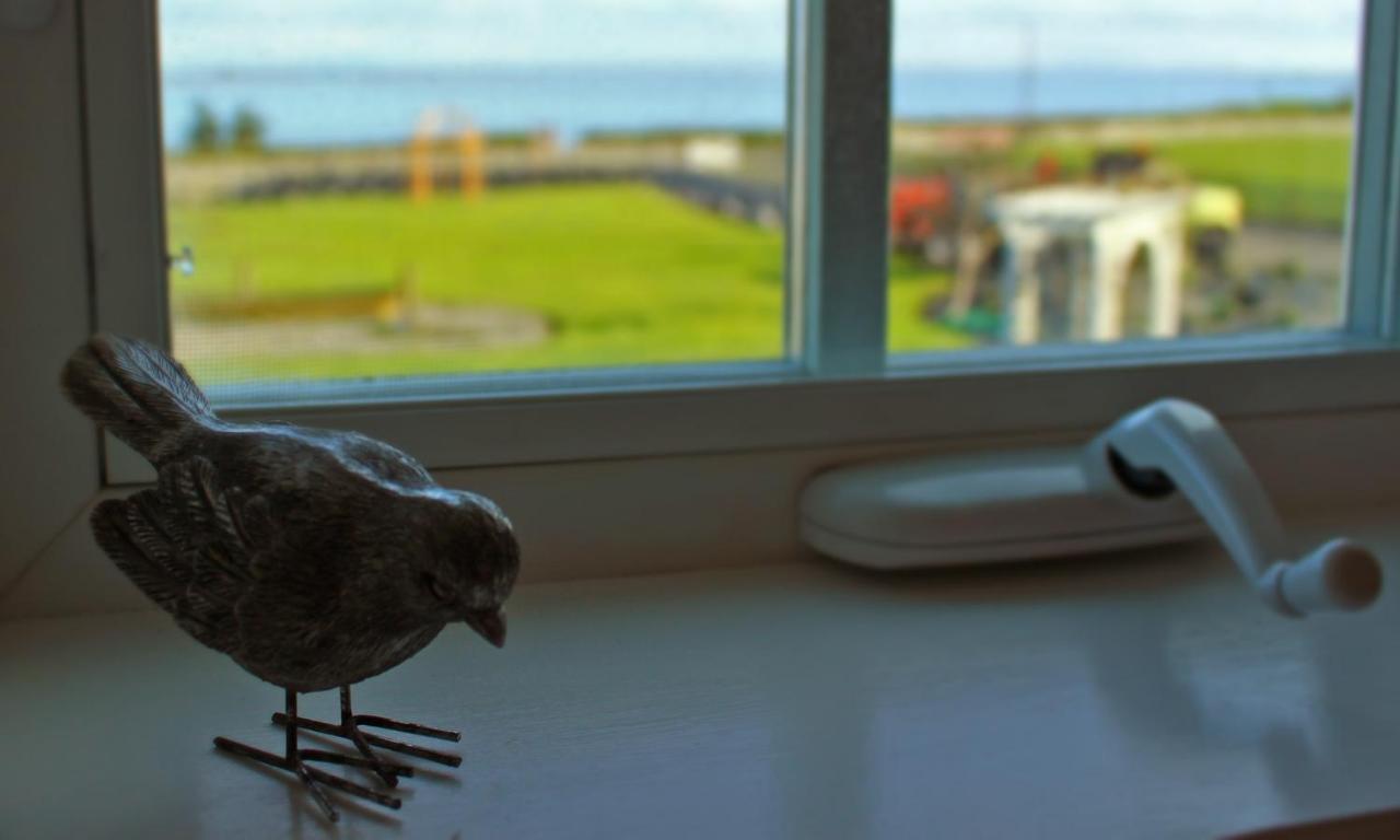Dungeness Barn House Bed And Breakfast At Two Crows Farm Sequim Dış mekan fotoğraf